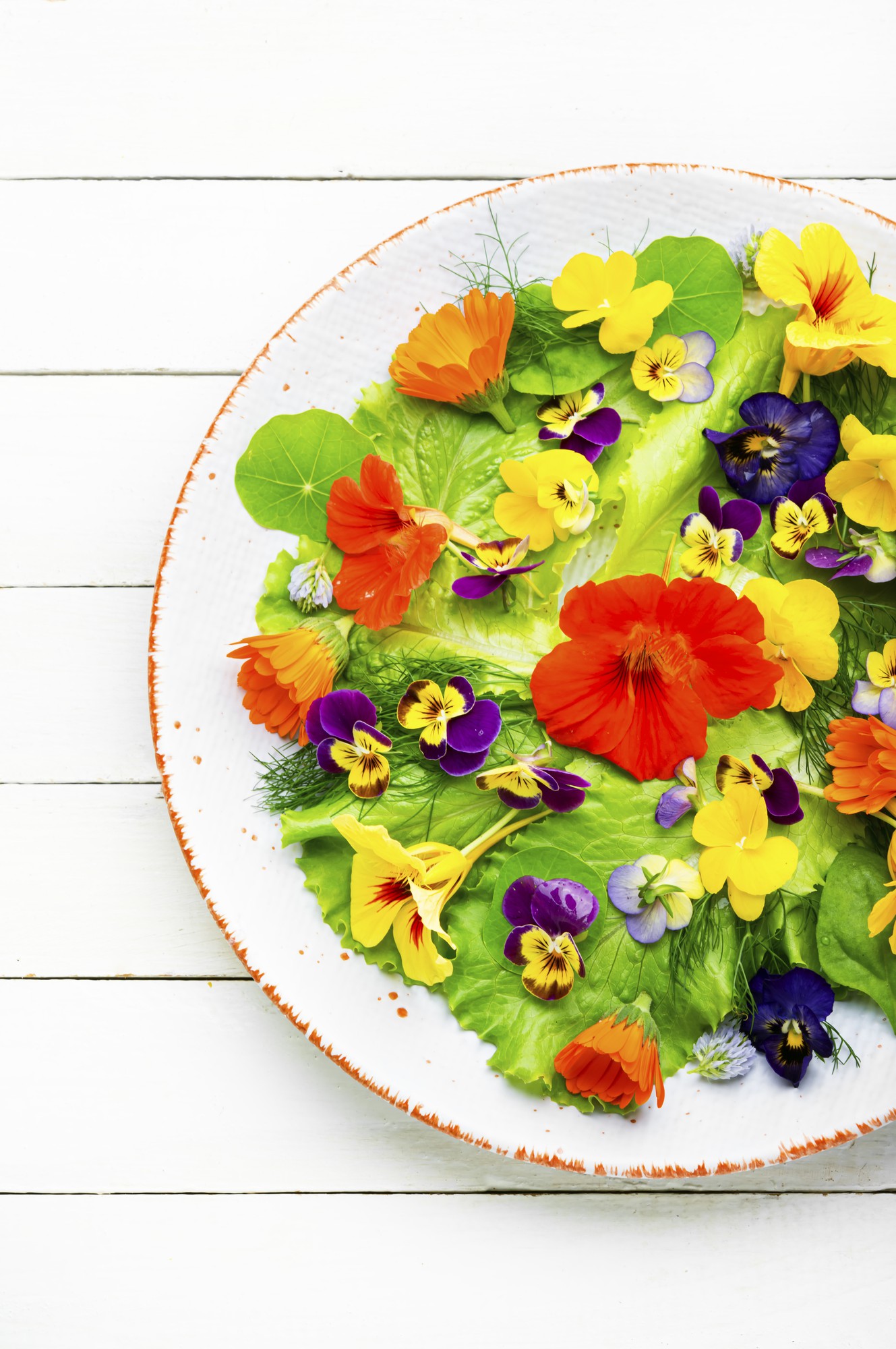 Close-up of plated seasonal salad with edible flowers